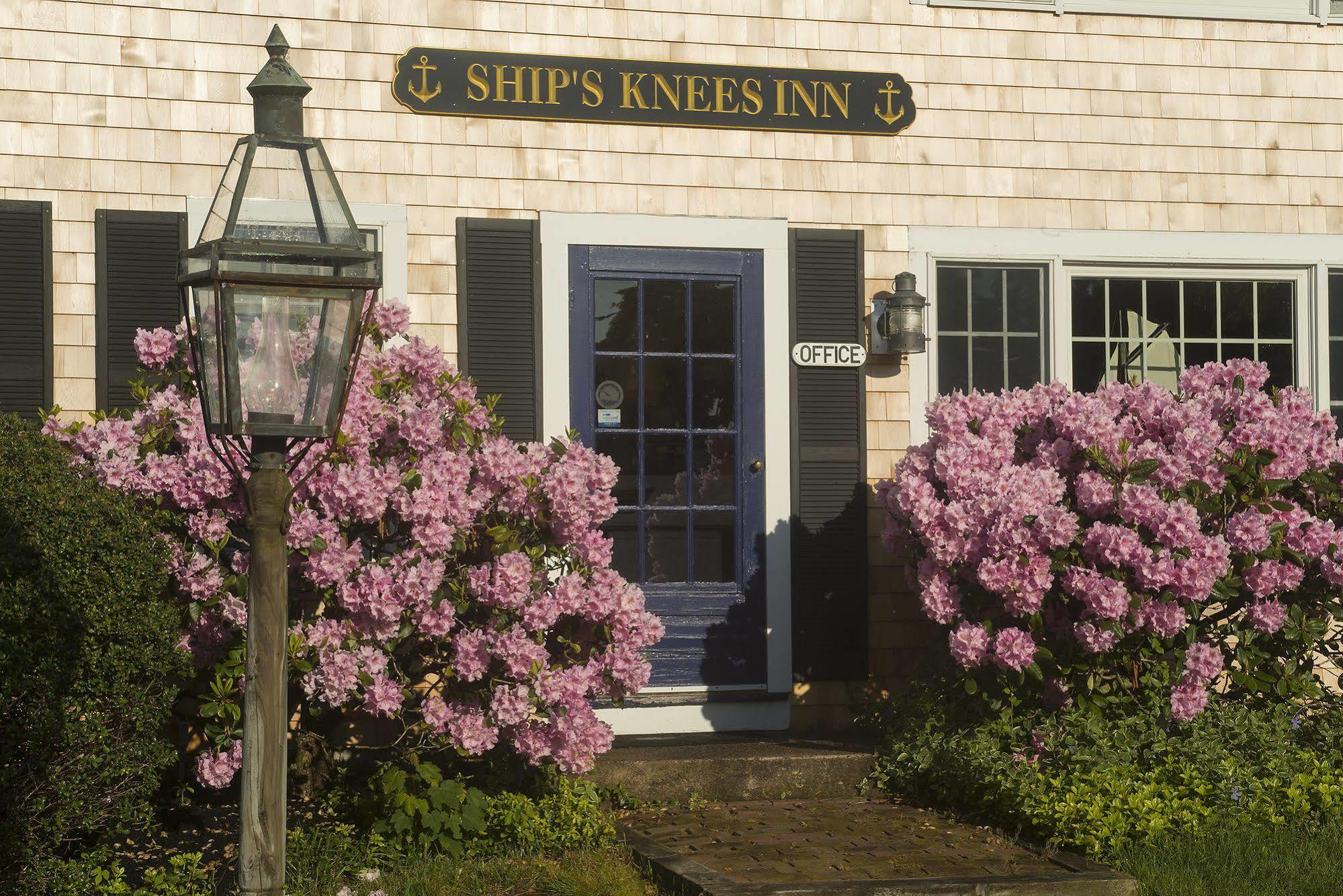 Ship's Knees East Orleans